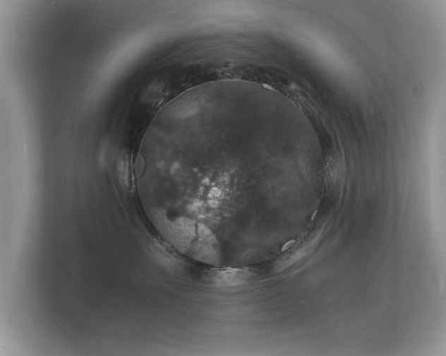 X0000112150527200908141217