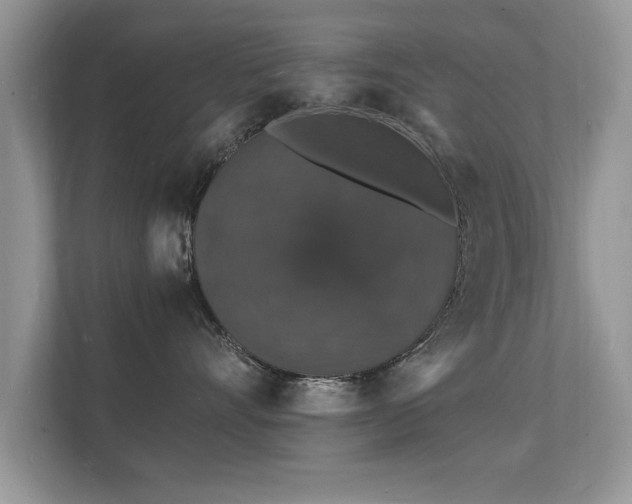 X0000112150528200908141217