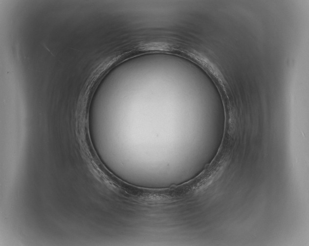 X0000112150529200908141216