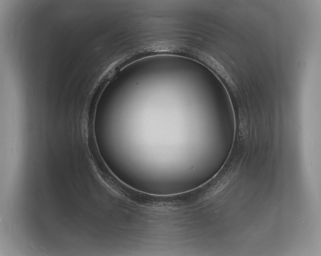 X0000112150530200908141216