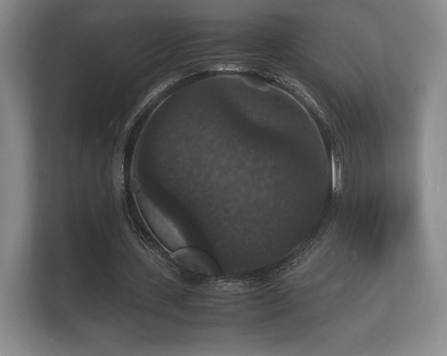 X0000112150531200908141216