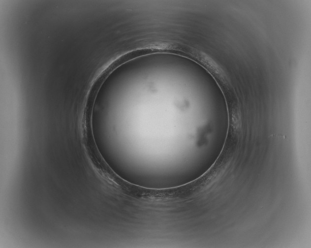 X0000112150532200908141216