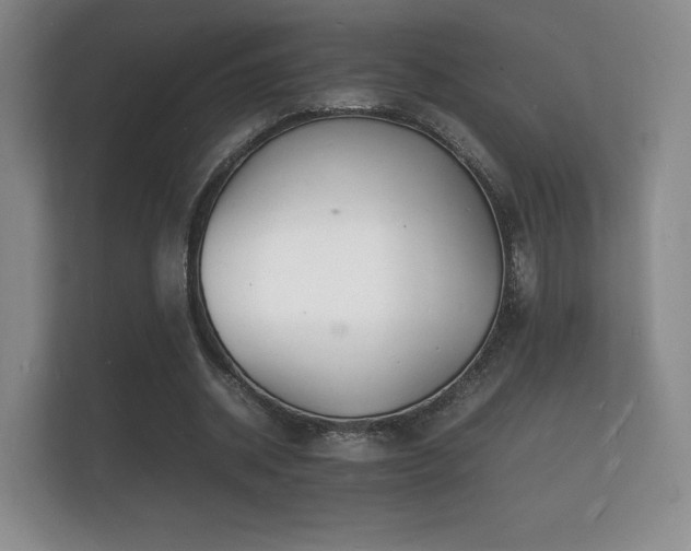 X0000112150534200908141216