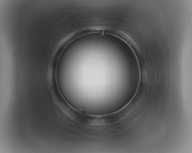X0000112150535200908141216