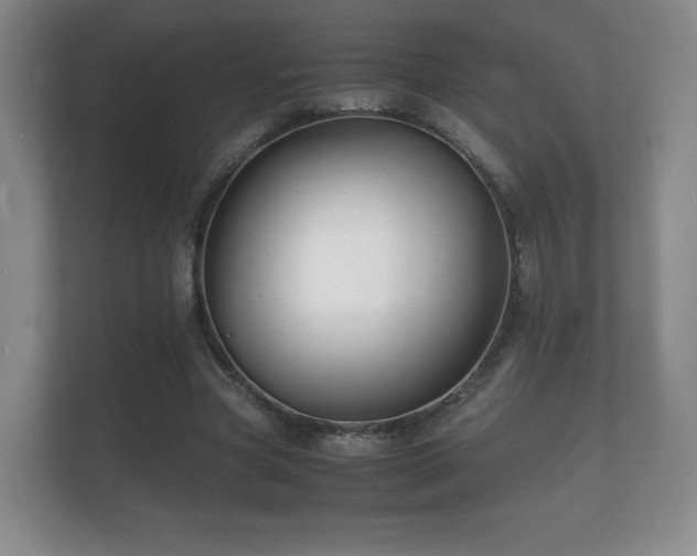 X0000112150537200908141216