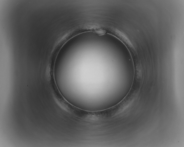 X0000112150538200908141216