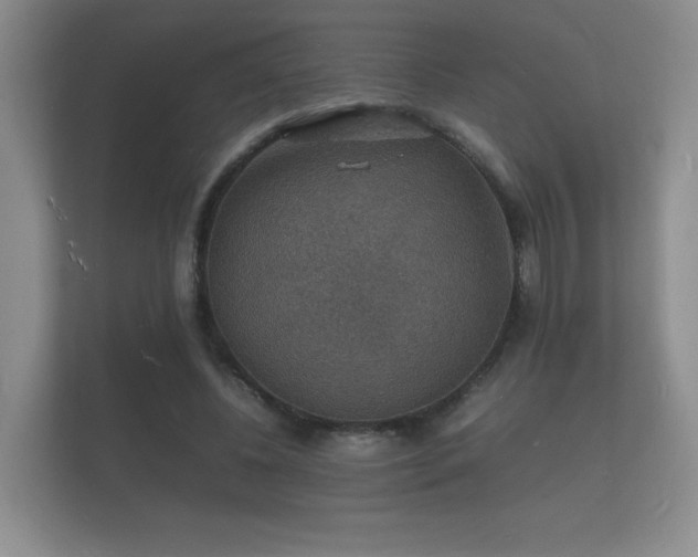X0000112150540200908141216