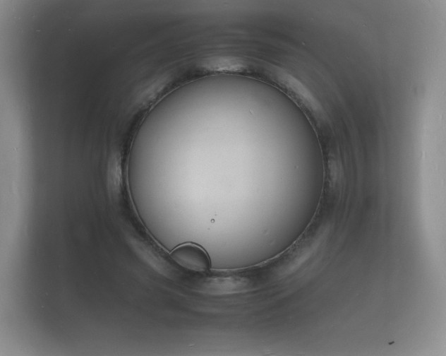 X0000112150541200908141216