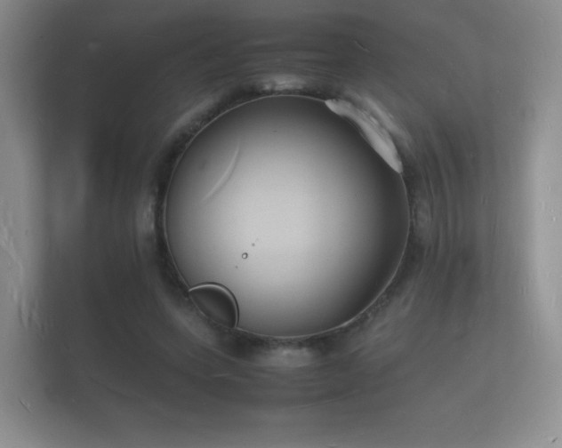 X0000112150543200908141216