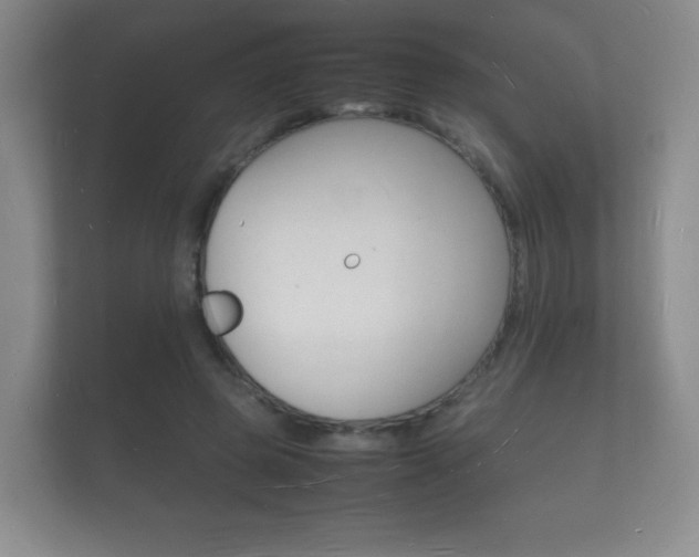 X0000112150545200908141216