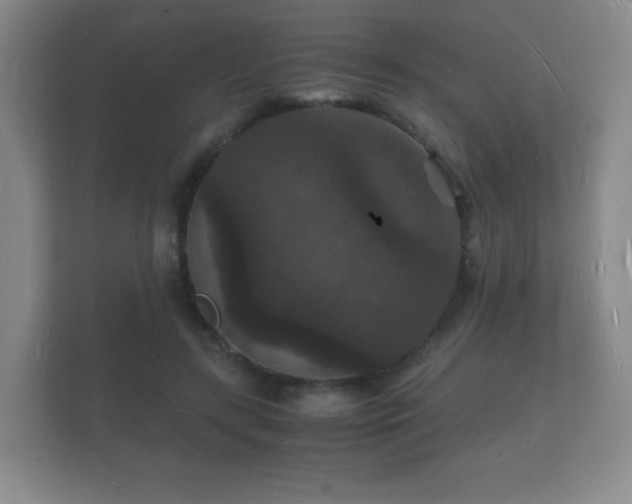 X0000112150547200908141216
