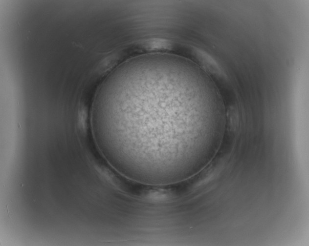 X0000112150550200908141216