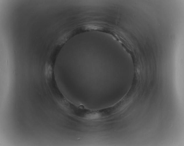 X0000112150551200908141216