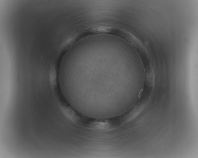 X0000112150552200908141216