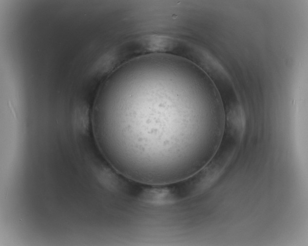 X0000112150554200908141217