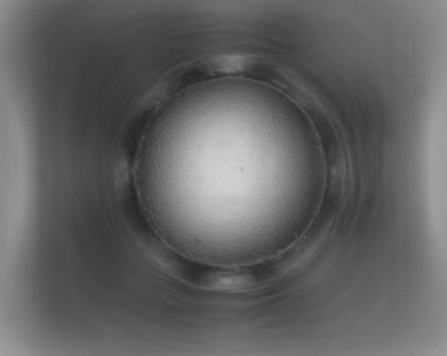 X0000112150555200908141217