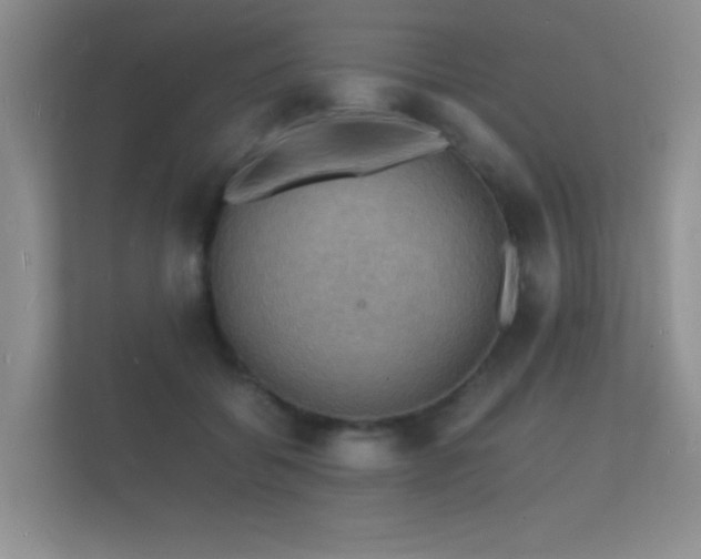 X0000112150556200908141217