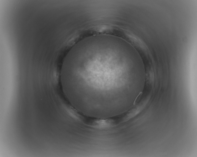 X0000112150558200908141217