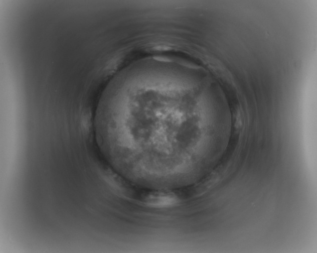X0000112150559200908141217