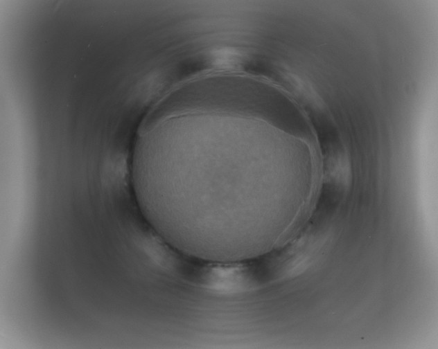 X0000112150560200908141217