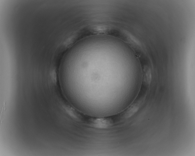 X0000112150562200908141217