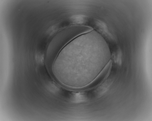 X0000112150564200908141217