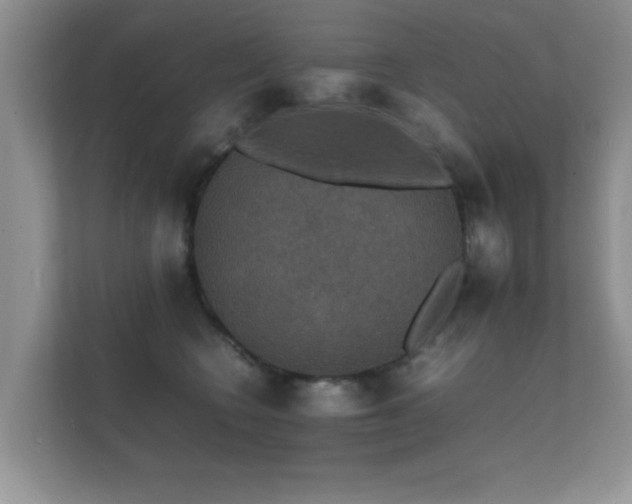X0000112150566200908141217