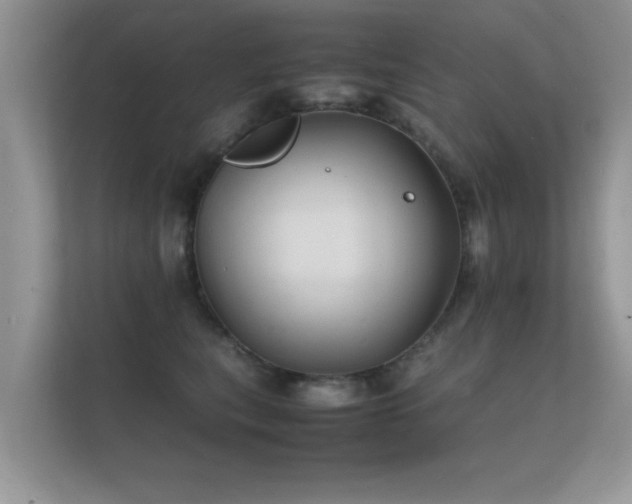 X0000112150567200908141217