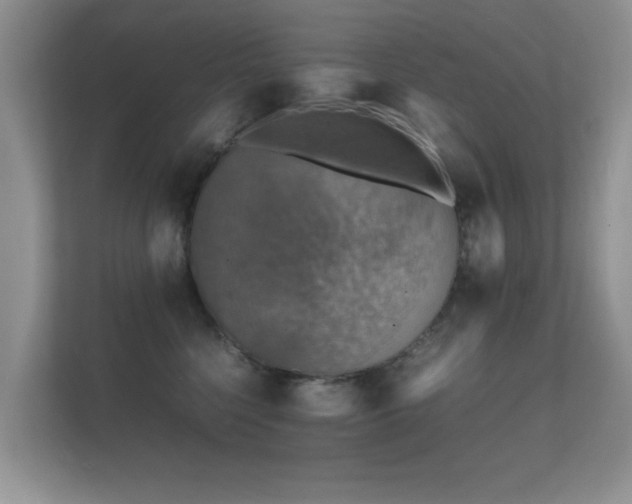 X0000112150568200908141217