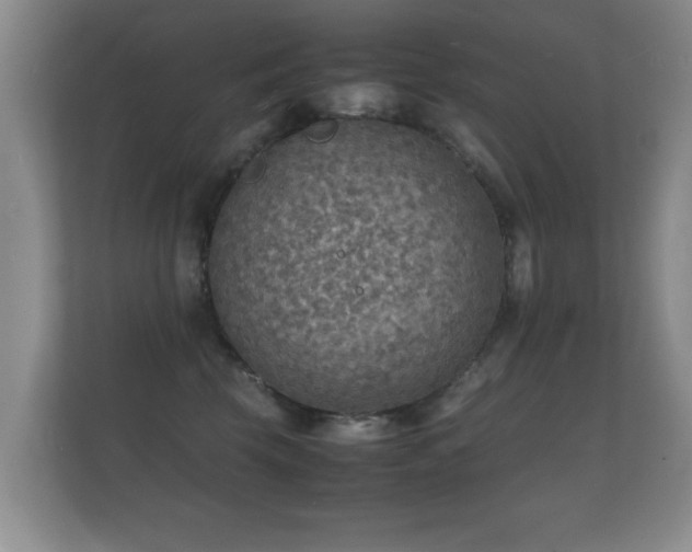 X0000112150569200908141217