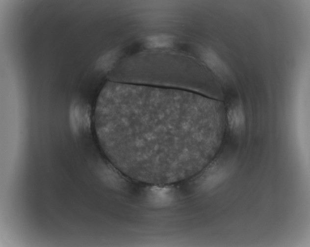 X0000112150570200908141217