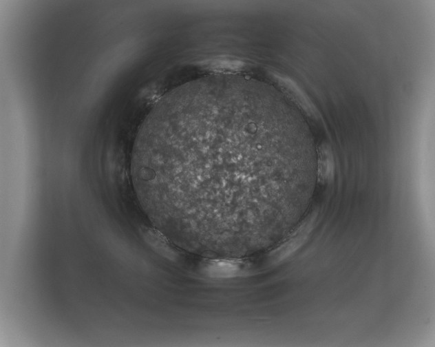 X0000112150573200908141217