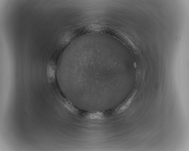 X0000112150576200908141217