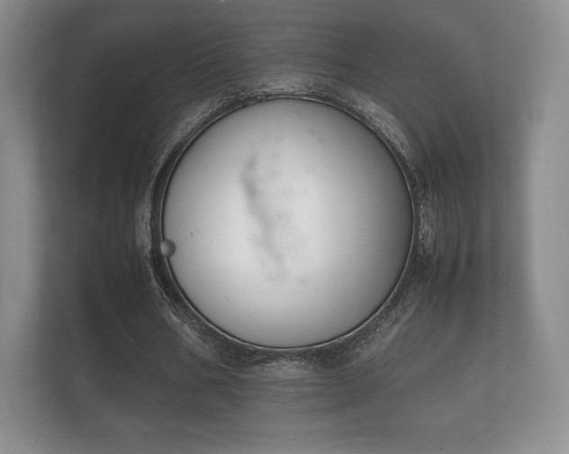 X0000112150578200908141216