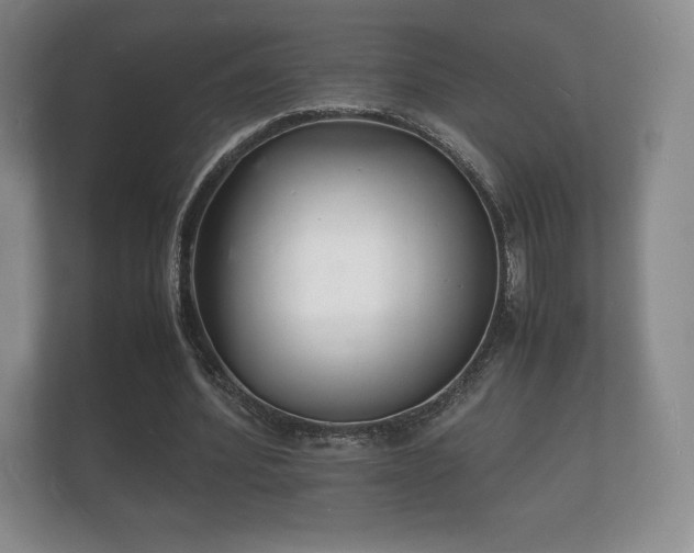 X0000112150580200908141216