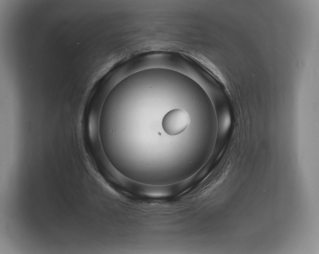 X0000112150581200908141216
