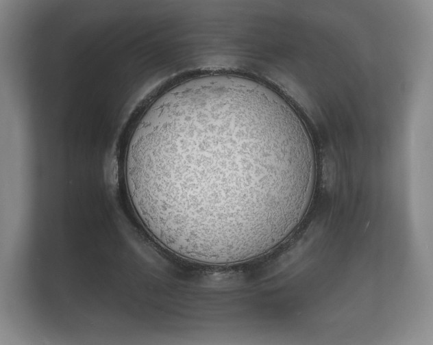 X0000112150584200908141216