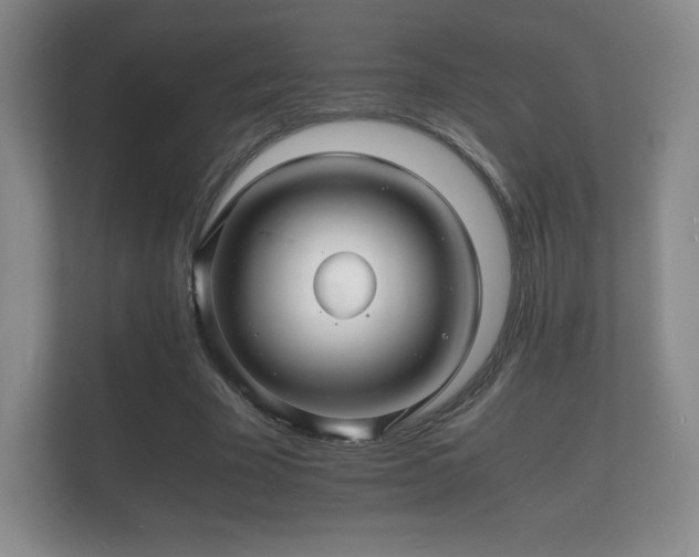 X0000112150585200908141216