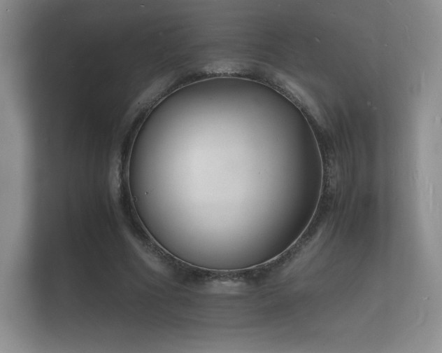 X0000112150586200908141216