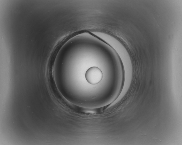 X0000112150587200908141216