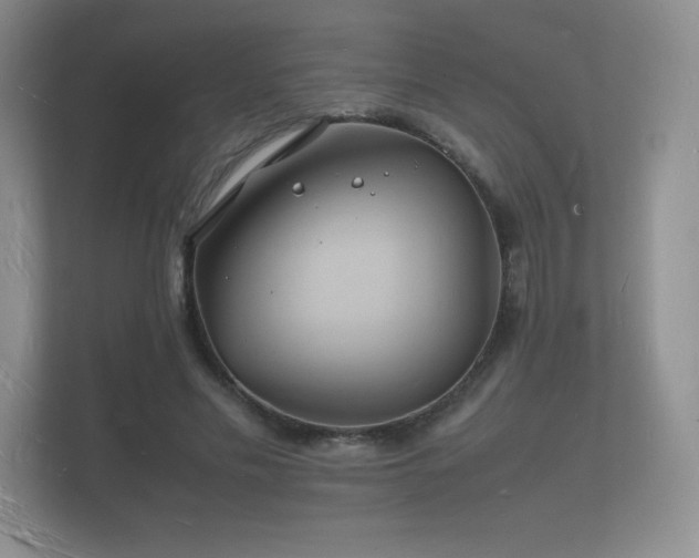 X0000112150589200908141216