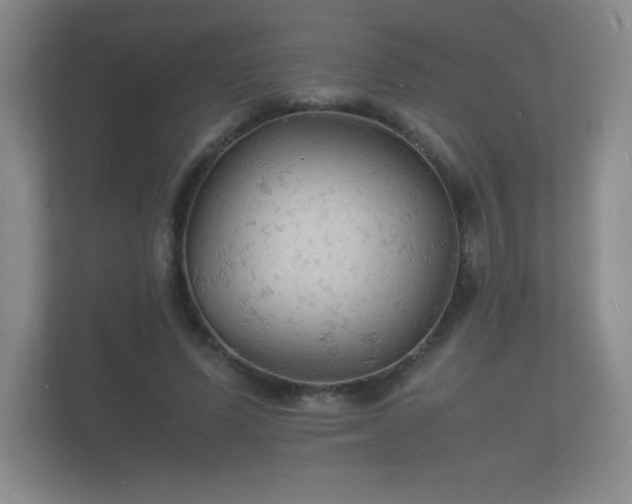 X0000112150591200908141216