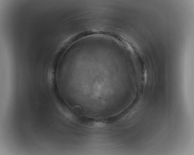 X0000112150592200908141216