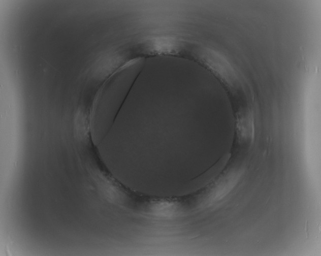 X0000112150593200908141216