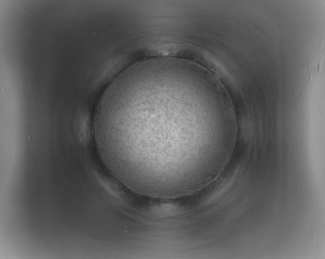 X0000112150594200908141216