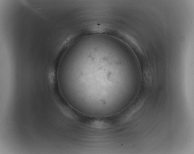 X0000112150596200908141216