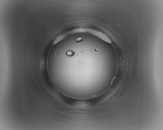 X0000112150597200908141216