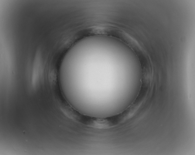 X0000112150603200908141216