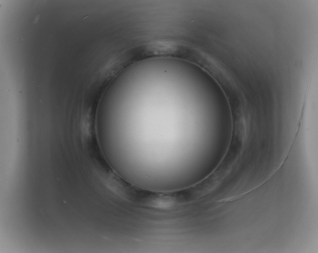 X0000112150604200908141216