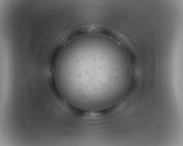 X0000112150607200908141216